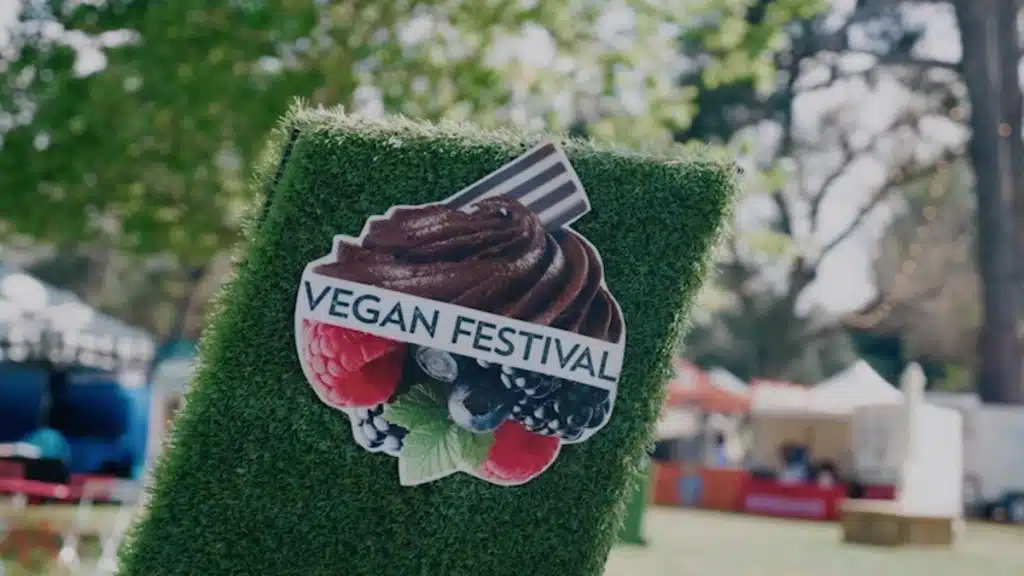 Vişnelik vegan festivali