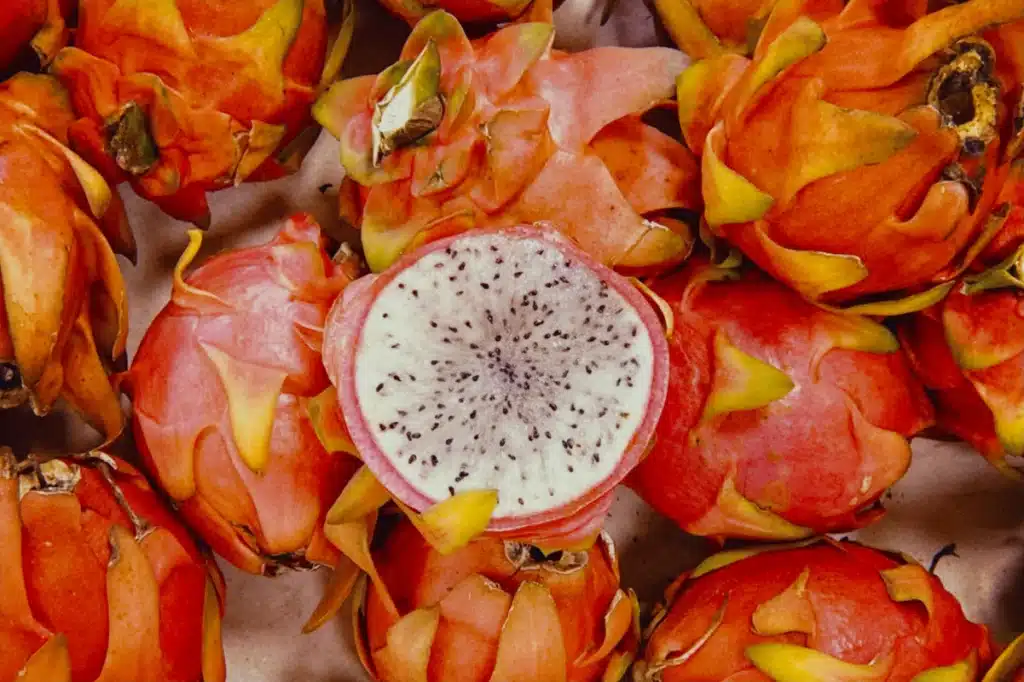 Turuncu ejder meyveleri